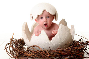 marketing-baby-first-year-wall-panel